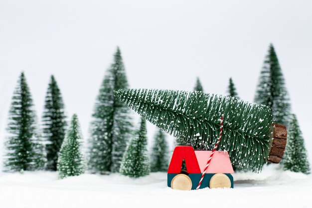 Miniature car carrying a christmas tree 