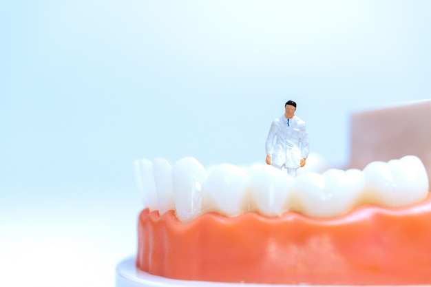 Miniature dentist observing and discussing about human teeth with gums