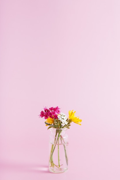 Miniature glass bottle with wildflowers on a pink wall