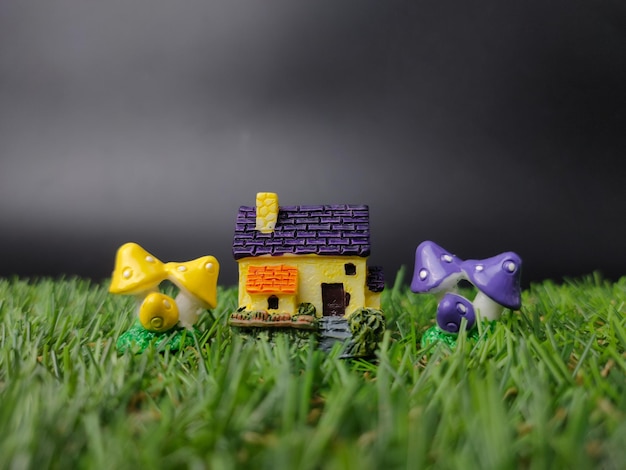 Miniature house with mushroom on green grass and black background