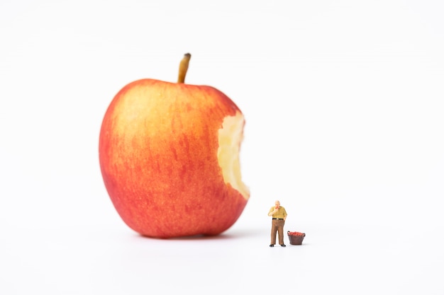 Miniature people, farmer climbing on the ladder for collecting red apples from big apple 