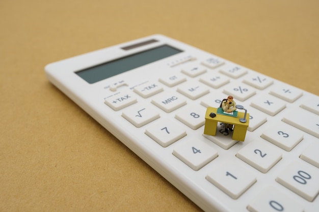 Miniature people Pay queue Annual income (TAX) for the year on calculator. 