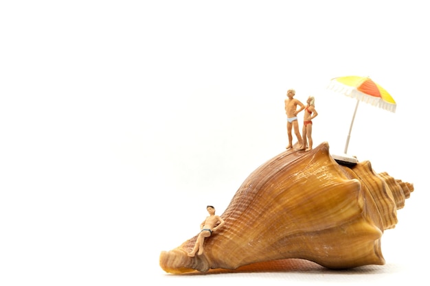 Miniature people wearing swimsuit relaxing on seashells with white background