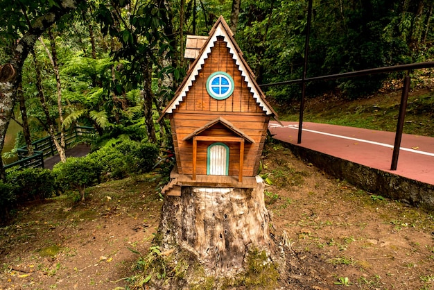 Miniature Wooden House on a Tree Trunk