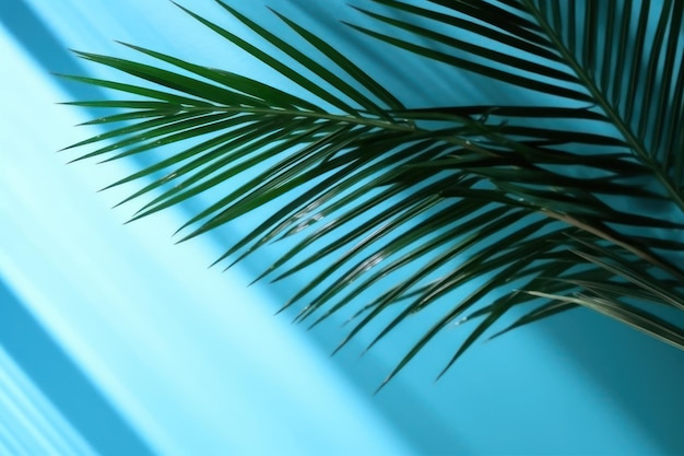 Minimal Abstract Background with Blurred Shadow of Palm Leaves on Light Blue Wall