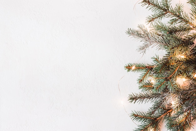 Minimal christmas decor made of fir branches and golden light garland