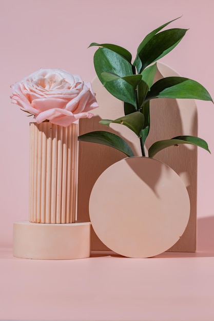 Minimal cosmetic background for product presentation Concrete podium on pink background Natural skin care concept with rose flower and ruskus plant