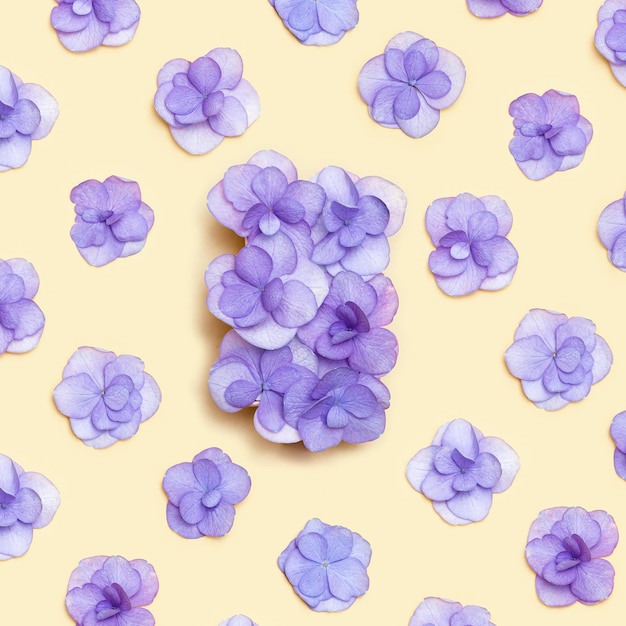 Minimal floral pattern with fresh Hydrangea violet flower Very Peri color of year Holiday layout