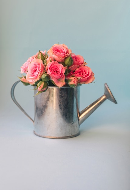 Minimal floral picture with mini watering can and pink roses against pastel blue