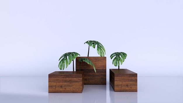 Minimal luxury brown fine wooden box podium and green leaves on white