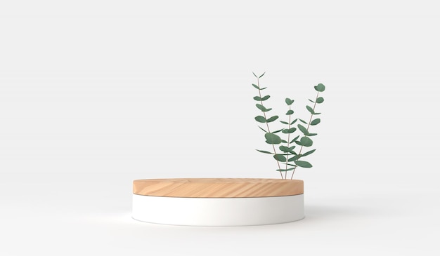 Minimal product display design podium with green eucalyptus leaves d render