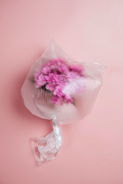 Minimal sustainable plastic free save planet concept Plastic bag over pink fresh hydrangea flower Environmental protection plastic pollution zero waste