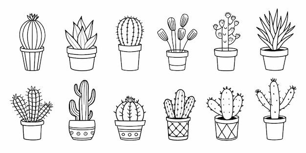 Photo minimalist cactus and succulent collection with various potted designs