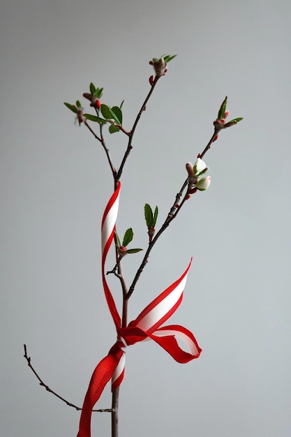 Minimalist design of a red and white Martisor ribbon gently wrapped around a young