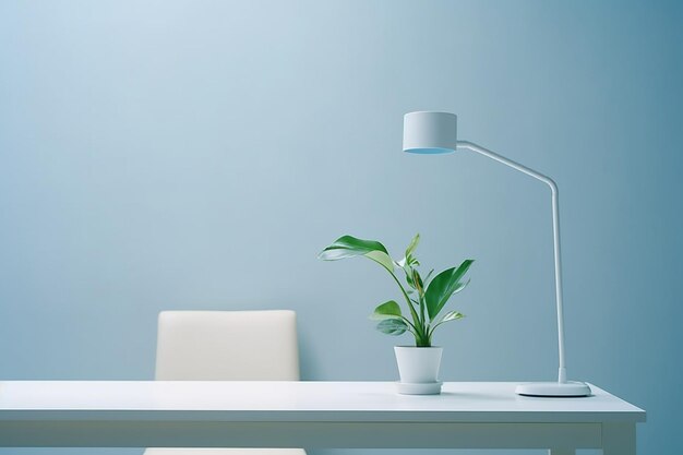 A minimalist desk with a single potted plant and a lamp