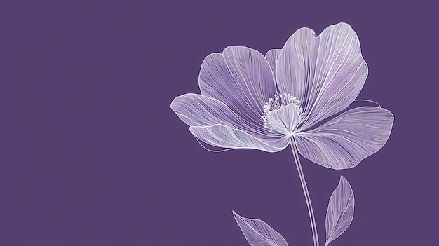 Photo a minimalist illustration of a flower on a purple background emphasizing beauty and simplicity