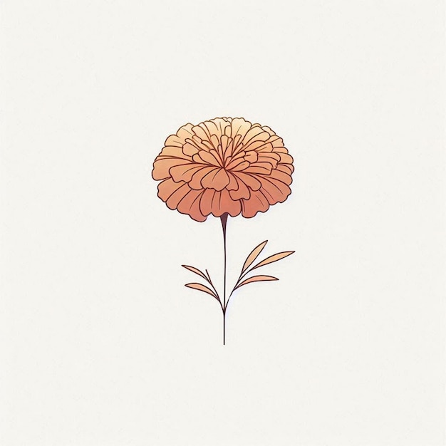 Photo minimalist illustration of a marigold flower