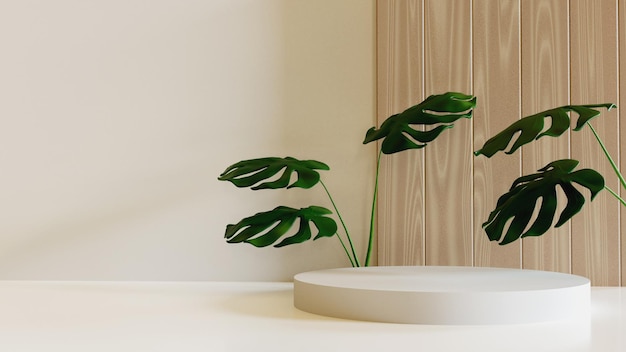 MINIMALIST NATURAL ELEGANT PDOIUM WITH WOOD AND PLANT