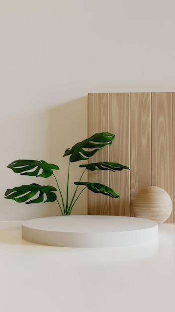 MINIMALIST NATURAL ELEGANT PDOIUM WITH WOOD AND PLANT