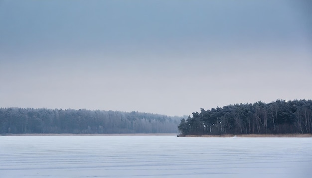 Photo minimalist scenery with frozen lake and forest on the horizon