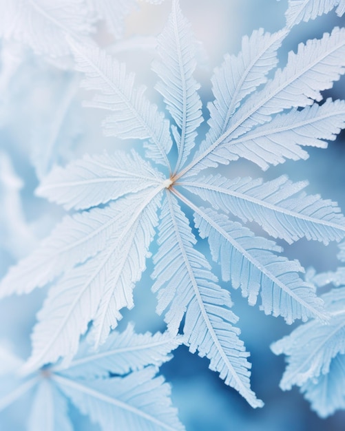 A minimalist take on winter39s beauty showcasing frozen leaves on a plant