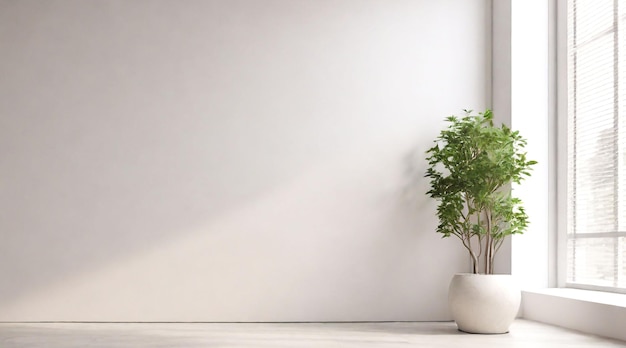 minimalist white walls and Potted Plant On White Background