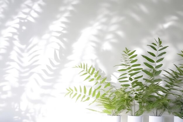 Minimalistic Abstract Background with Blurred Shadows of Leaves and Plants on White Wall