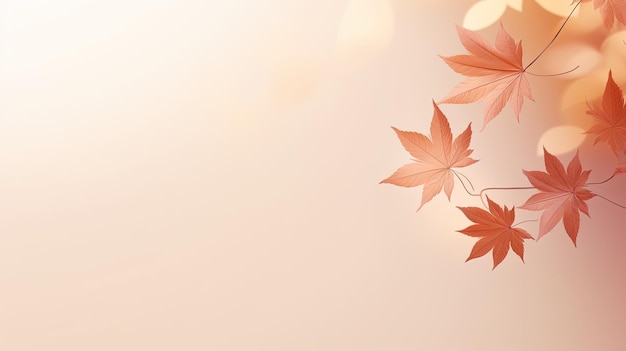 Minimalistic autumn background with maple leaf shadows on beige silhouette concept