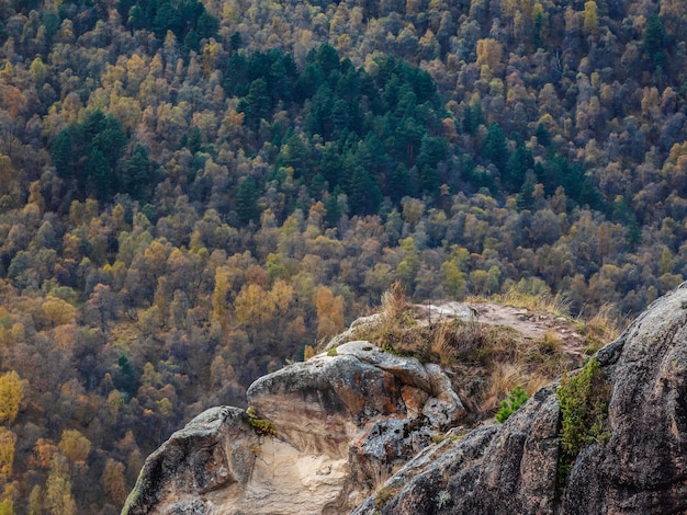 Minimalistic landscape of a rocky ledge against the background of a mountain forest The edge of a stone cliff a dangerous gorge