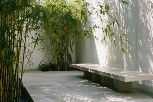 Photo the minimalistic patio captures tranquility with elegant white benches amidst tall bamboo plants casting calming shadows on the glossy floor