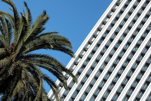 Minimalistic photo of a modern building with a striped pattern on its exterior