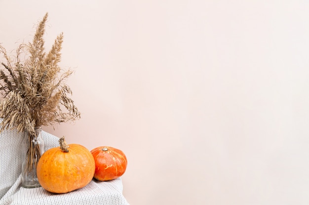 Minimalistic still life with a bouquet of dried wildflowers and pumpkins