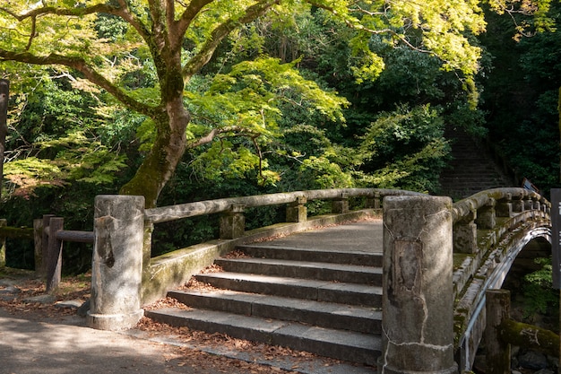 Minoh park waterfall. Osaka, Japan