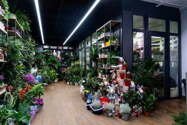 Minsk belarus dec interior of a floristic shop selling flowers with potted natural plants and