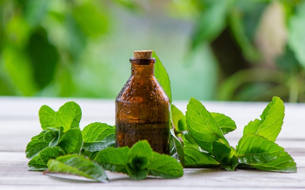 The mint extract in a small jar