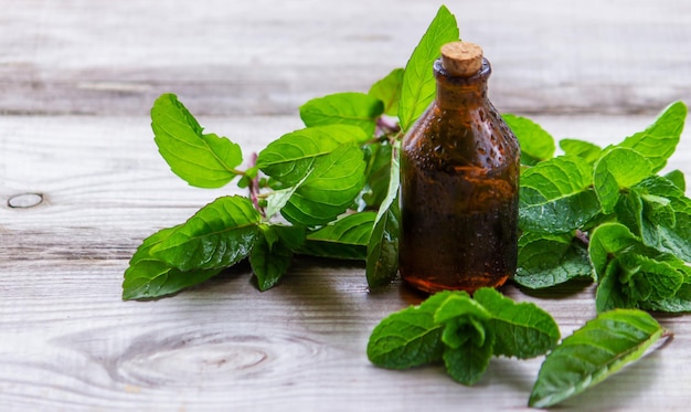 The mint extract in a small jar