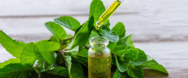 The mint extract in a small jar