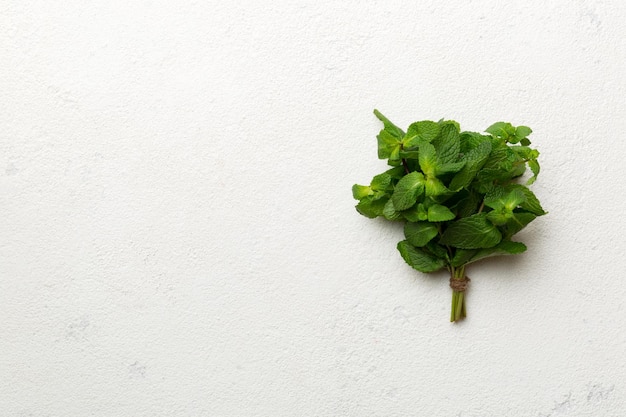 Mint leaf Fresh mint on Colored background Mint leaves isolated Top view with copy space