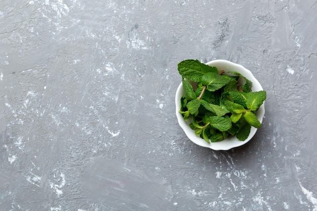 Mint leaf Fresh mint on Colored background Mint leaves isolated Top view with copy space