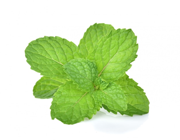 Mint leaf on white background