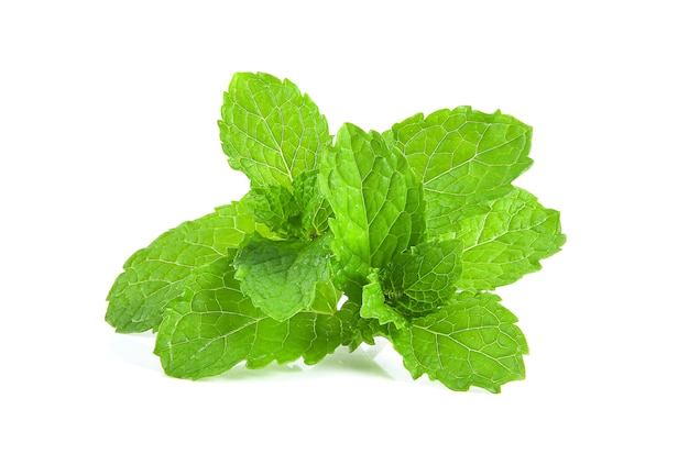 mint leafs herb. isolated on white background