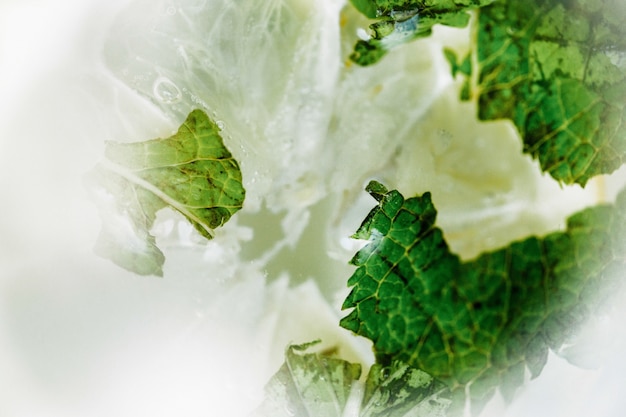 Mint leaves  over ice cubes