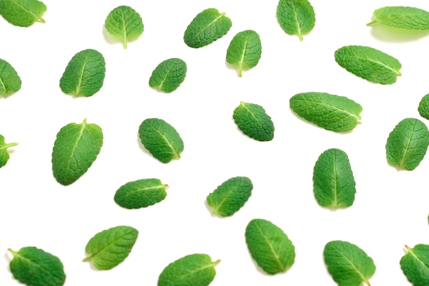 Mint leaves isolated on white background