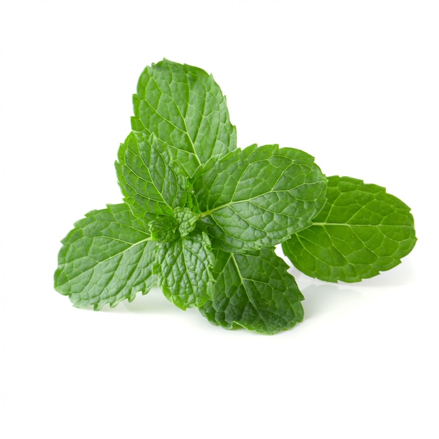 Mint leaves isolated over a white background.