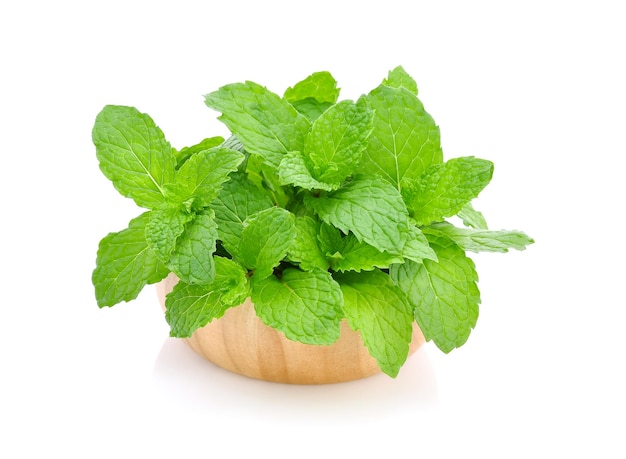 Mint leaves isolated on white background