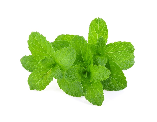 Mint leaves isolated on white background