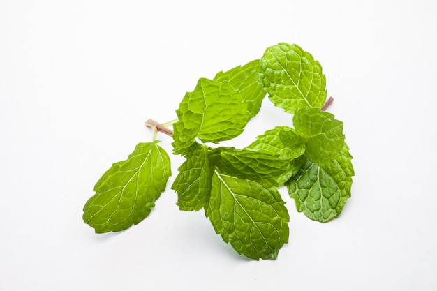 Mint leaves isolated on white background