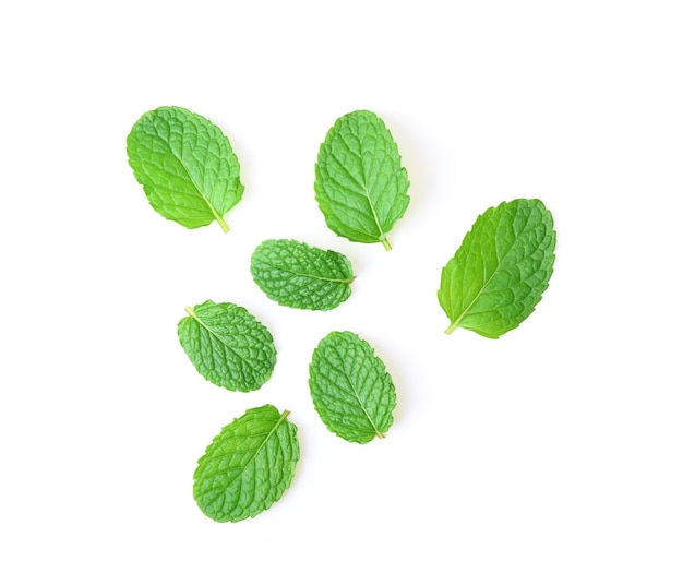 Mint leaves isolated on white background