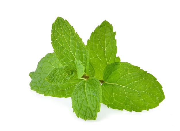 Mint leaves isolated on white.