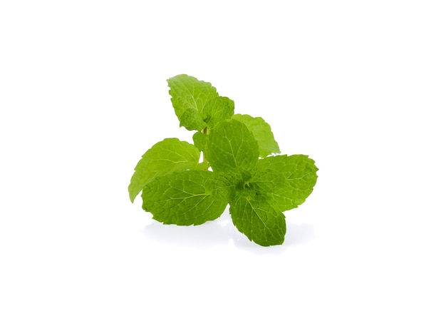 Mint leaves isolated on white